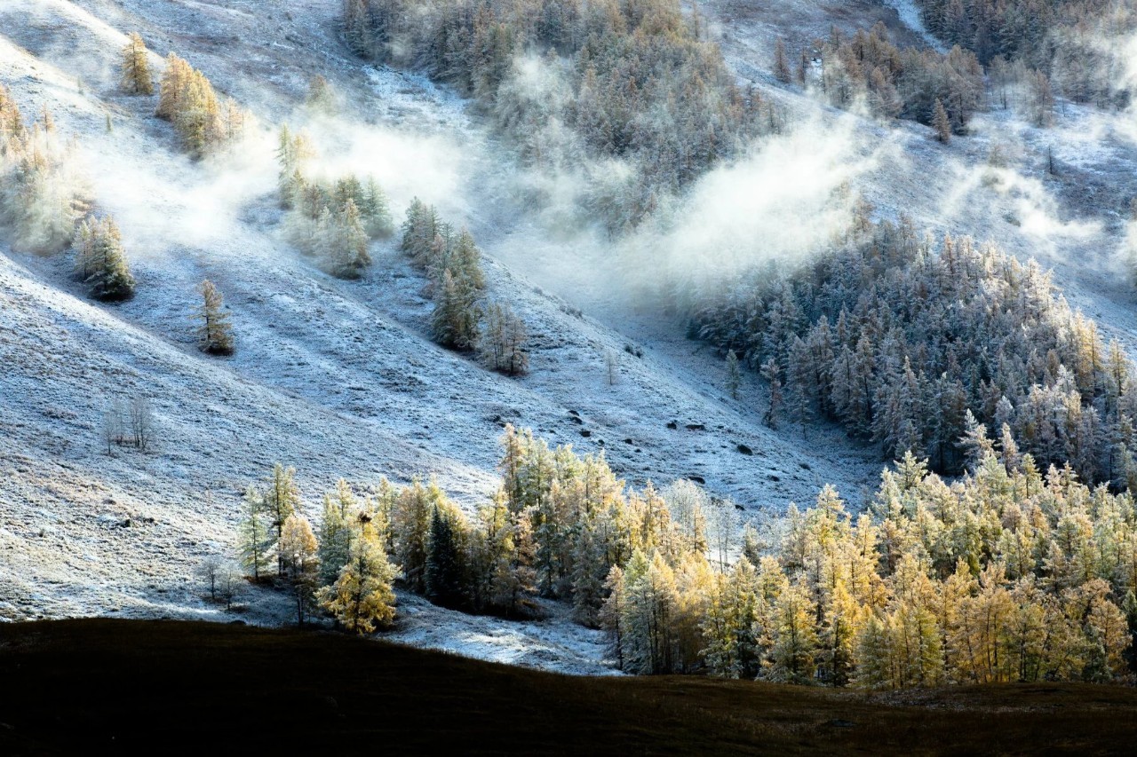 新疆科技新纪元，点亮生活前沿探索之旅